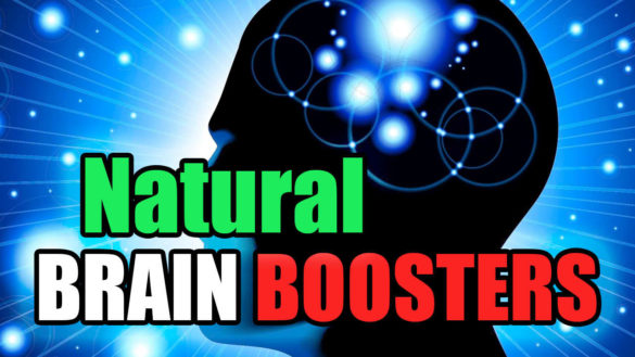 Increase Brain Power - Top 10 Herbs to Boost Brain Naturally