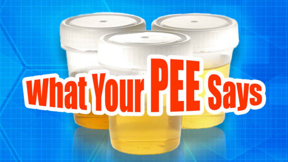 What Your Pee Says About You
